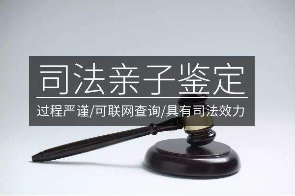 司法親子.jpg