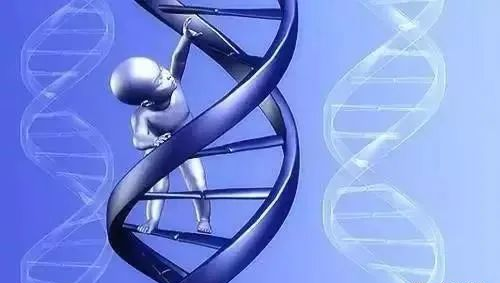 無創產前基因檢測（NIPT）到底有什么作用？