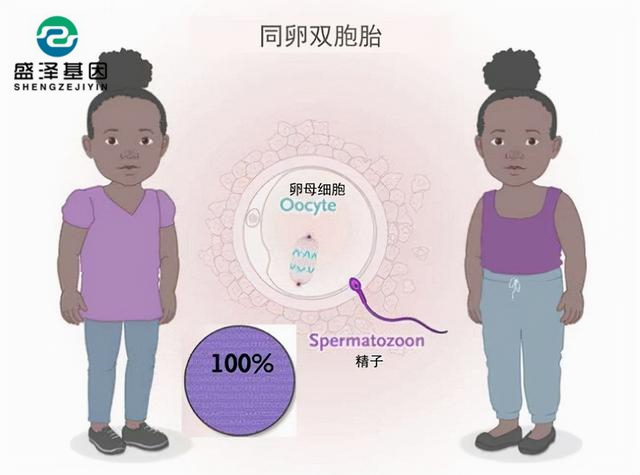廣東男子做親子鑒定，竟發(fā)現(xiàn)自家雙胞胎有一個(gè)不是自己的？！