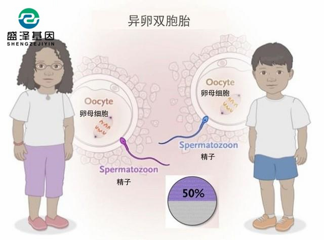 雙胞胎越長越不像,寶爸決定做親子鑒定! 雙胞胎越長越不像,寶爸決定做親子鑒定!