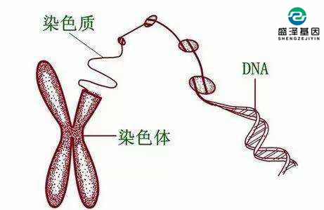 個人隱私親子鑒定可以保密嗎?怎么選擇司法親子鑒定機構?