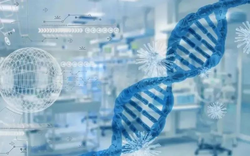 親子鑒定一般會有血型測試、染色體多態(tài)性、DNA鑒定這幾種方法