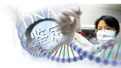 母子親子鑒定哪里檢測? 母子親子鑒定哪里檢測?
