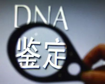 司法親子鑒定報(bào)告怎么做?需要采集什么樣本? 司法親子鑒定報(bào)告怎么做?需要采集什么樣本?