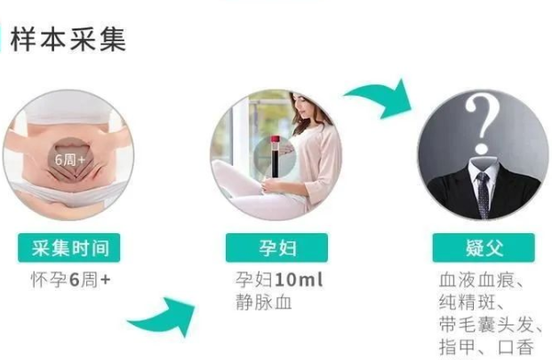 意外懷孕咋辦?中山無創親子鑒定可不可靠?男方樣本怎么采集? 意外懷孕咋辦?中山無創親子鑒定可不可靠?男方樣本怎么采集?