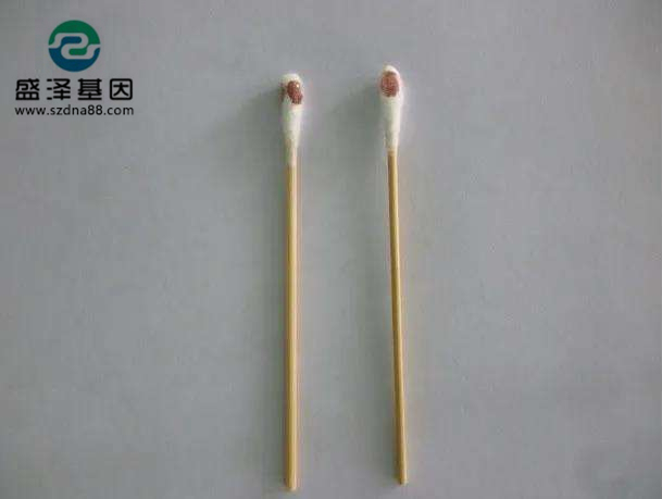 棉簽上的血其實就是血痕樣本,親子鑒定一般的載體的選擇有采血卡