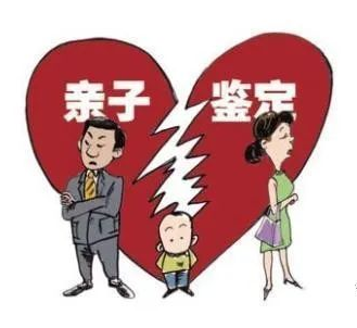 司法親子鑒定辦理流程有哪些?效力如何?
