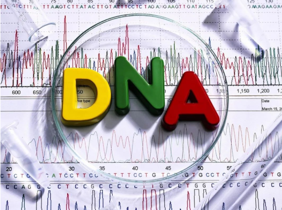 做DNA親子鑒定準確率多少?親子鑒定非親生的比率高嗎? 做DNA親子鑒定準確率多少?親子鑒定非親生的比率高嗎?