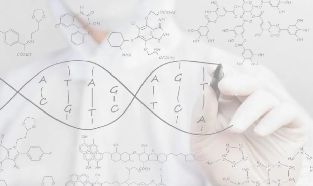 掉落的毛囊毛發(fā)可以拿去做染色體親子鑒定嗎? 掉落的毛囊毛發(fā)可以拿去做染色體親子鑒定嗎?