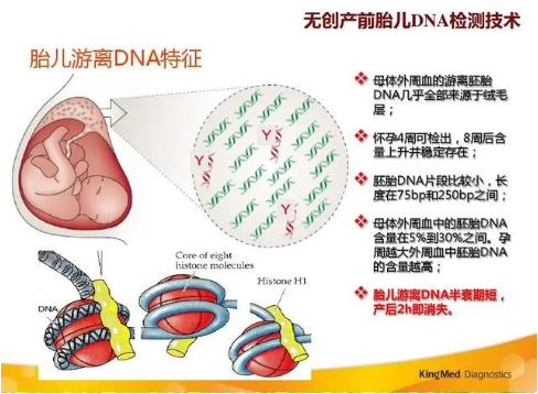 孕期做胎兒親子鑒定合適嗎?孕期有哪些胎兒親子鑒定方法? 孕期做胎兒親子鑒定合適嗎?孕期有哪些胎兒親子鑒定方法?