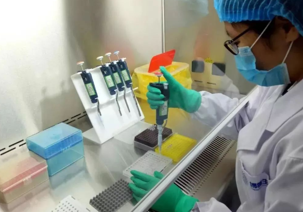 剪下來的頭發沒有毛囊可以做親子鑒定樣本嗎? 剪下來的頭發沒有毛囊可以做親子鑒定樣本嗎?