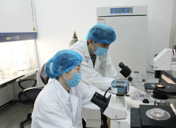 親子鑒定可以驗證妻子忠貞度,也可以給孩子上戶口