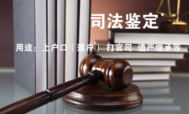 隱私親子鑒定與司法親子鑒定,到底怎么選? 隱私親子鑒定與司法親子鑒定,到底怎么選?