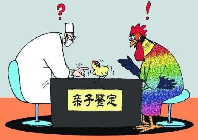 親子鑒定人數逐年上升,透過現象看本質:親子鑒定折射信任危機