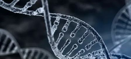 做親子鑒定血液如何釆取?