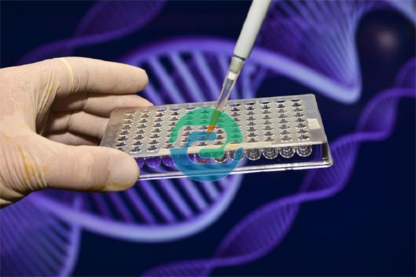 中山親子鑒定需要拍照嗎?