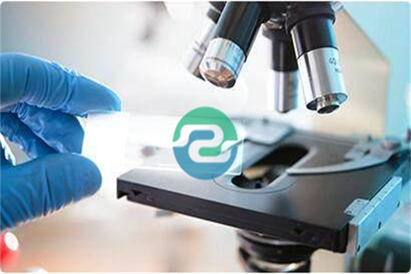 中山親子鑒定適用于多個領域-盛澤基因