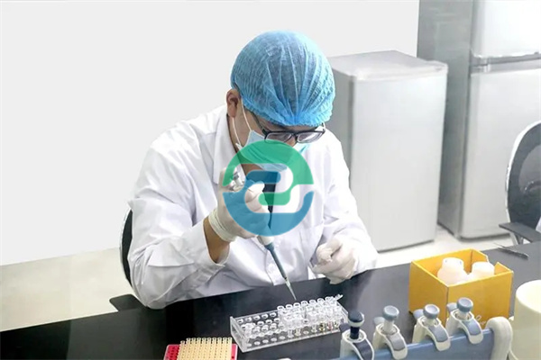 中山秘密親子鑒定需要什么?