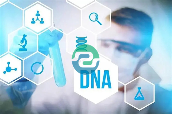 如何找到正規的中山親子鑒定中心呢?