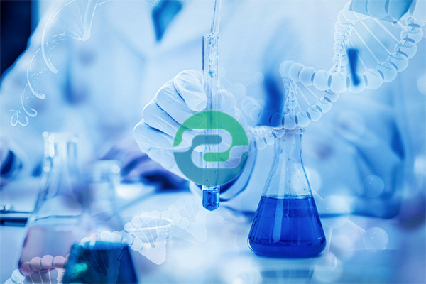 哪家醫院可以做中山親子鑒定?