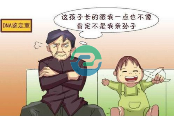 中山正規(guī)的親子鑒定需要多少錢(qián)？地址在哪？