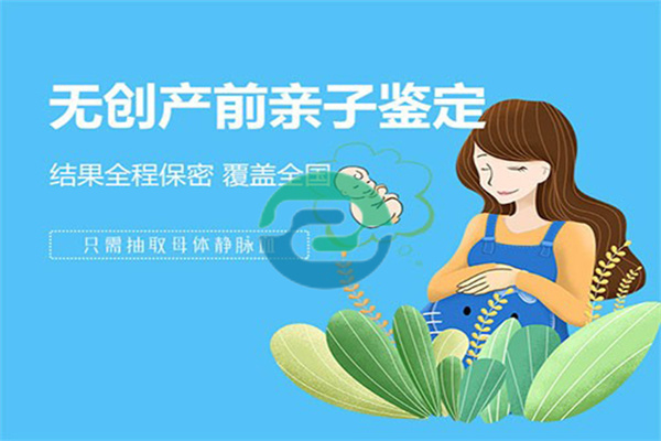 中山無創(chuàng)胎兒親子鑒定的原則及費(fèi)用