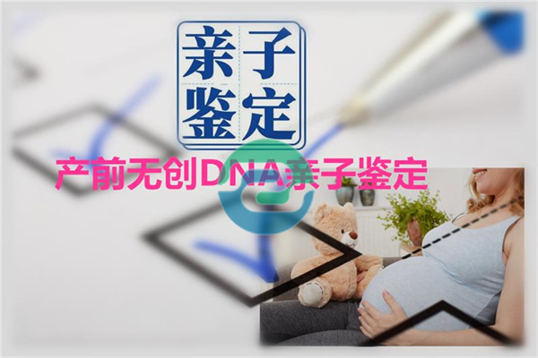 2025年如何進行中山親子鑒定介紹!