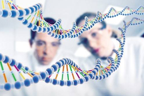 試管嬰兒可以做中山親子鑒定嗎？