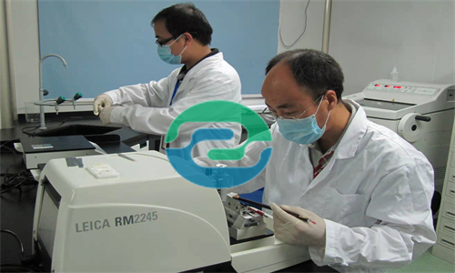 選擇中山親子鑒定機構時應注意的事項有哪些？