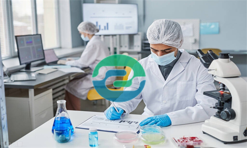 中山上戶口時必須進行親子鑒定嗎？