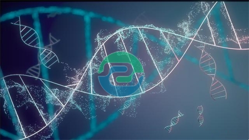 中山親子鑒定為無數家庭提供了明確的答案和支持!