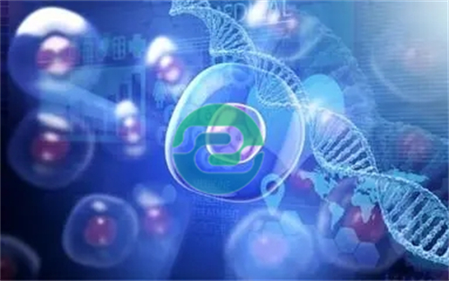 中山隱私親子鑒定與中山司法親子鑒定的區(qū)別