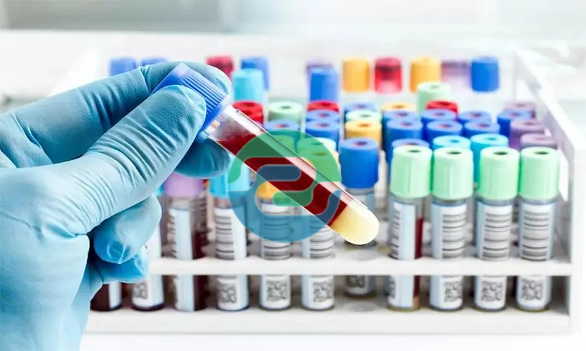 中山親子鑒定要多少錢？