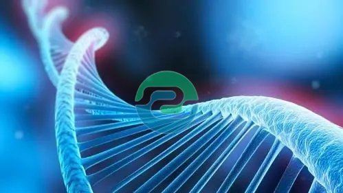 中山親子鑒定的費用是多少?需要什么?