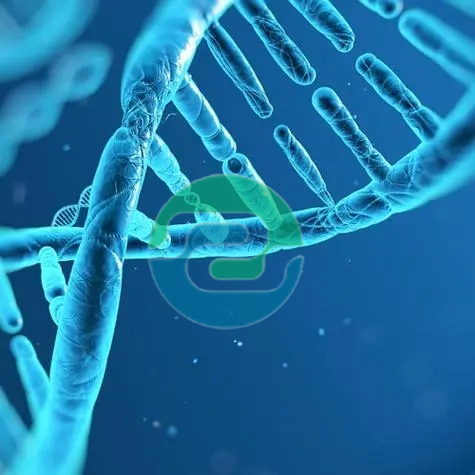 中山親子鑒定的具體流程是怎樣的呢?