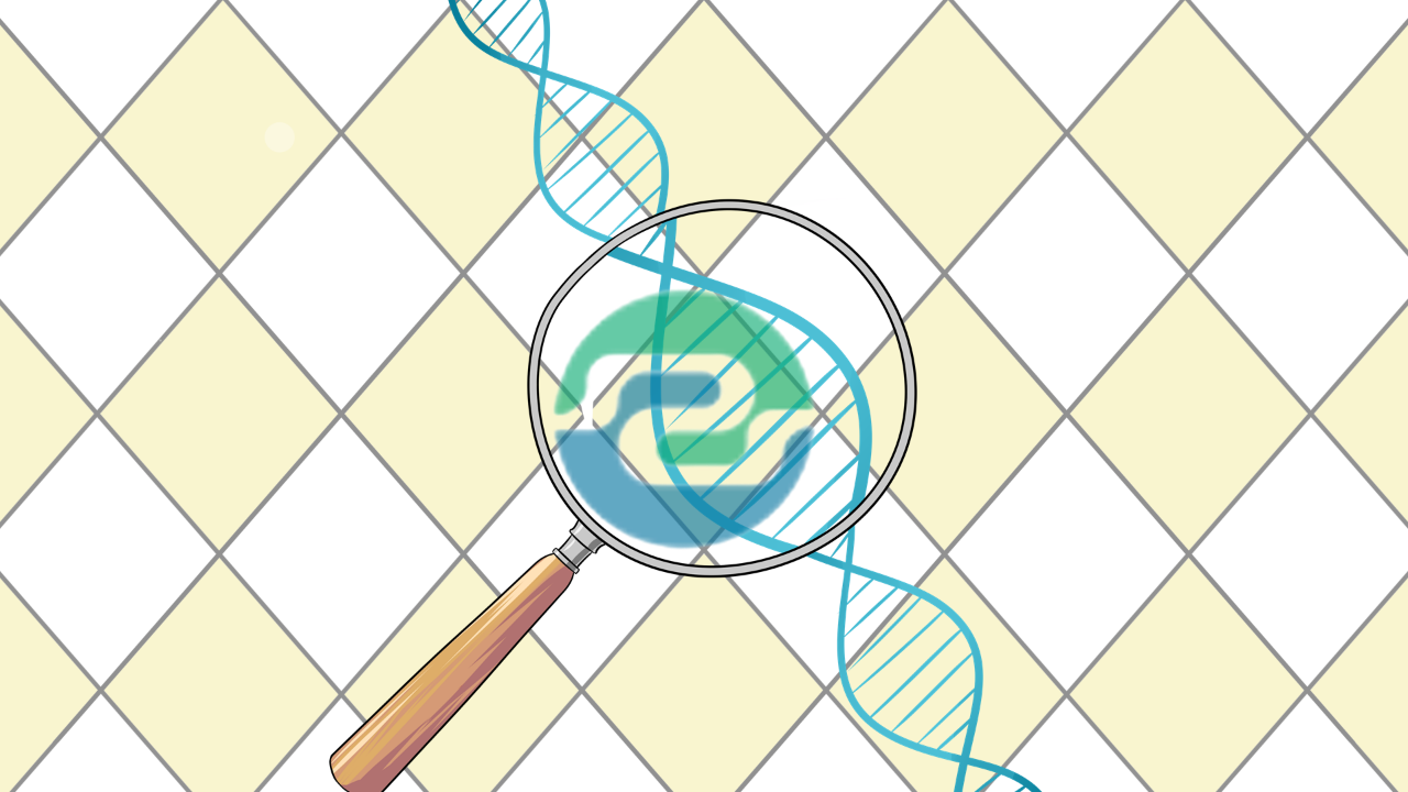 中山親子鑒定的程序是什么?