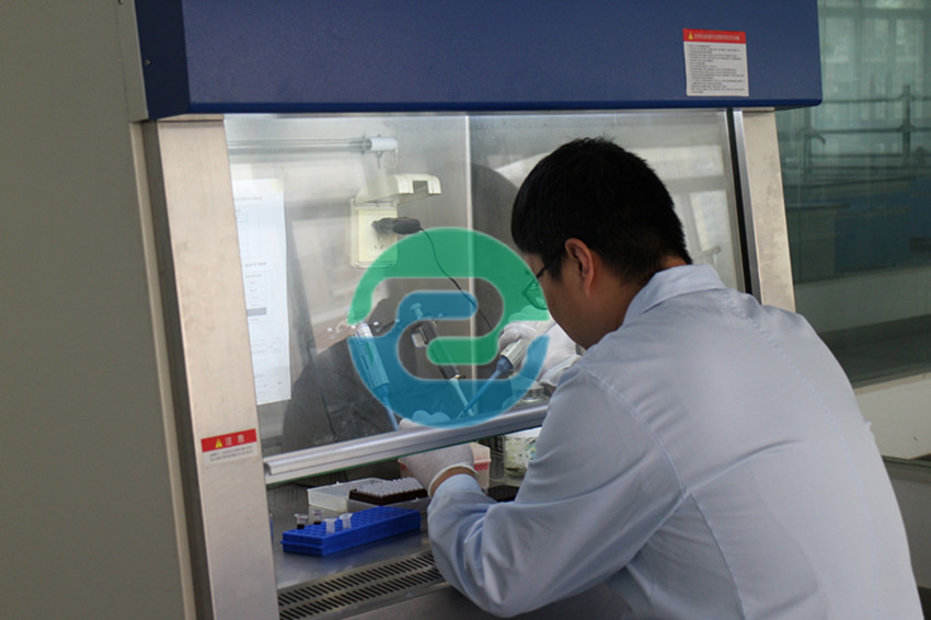 中山親子鑒定需要做哪些準備？