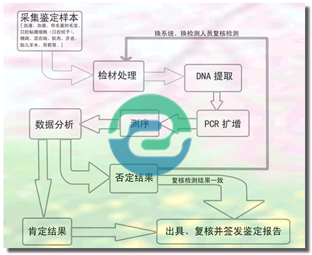 非婚生子女需要做中山親子鑒定嗎?