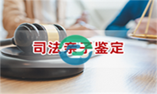 中山親子鑒定的準確率很高，通常達到99.99%以上