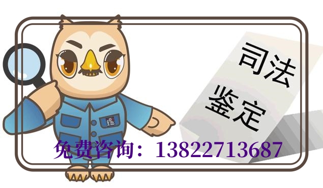 中山上戶口親子鑒定需要的材料有哪些？