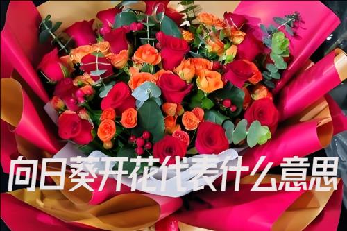 ���տ����Z
