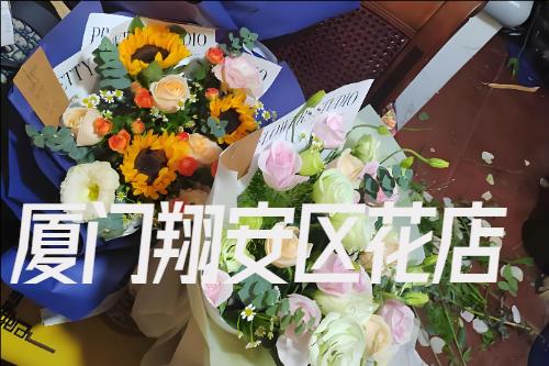 �B�T�谲�^����