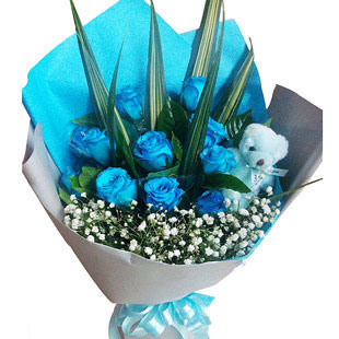 �K�ݻ���